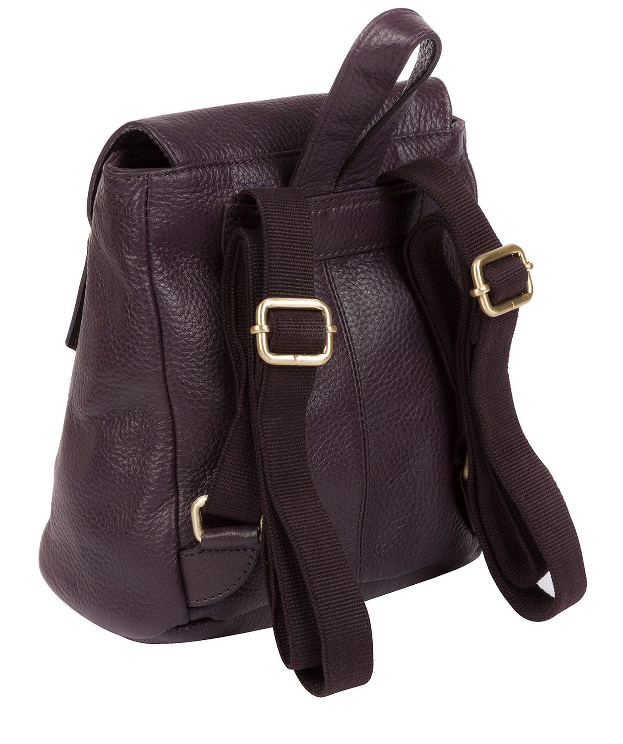 'Barnard' Plum Leather Backpack