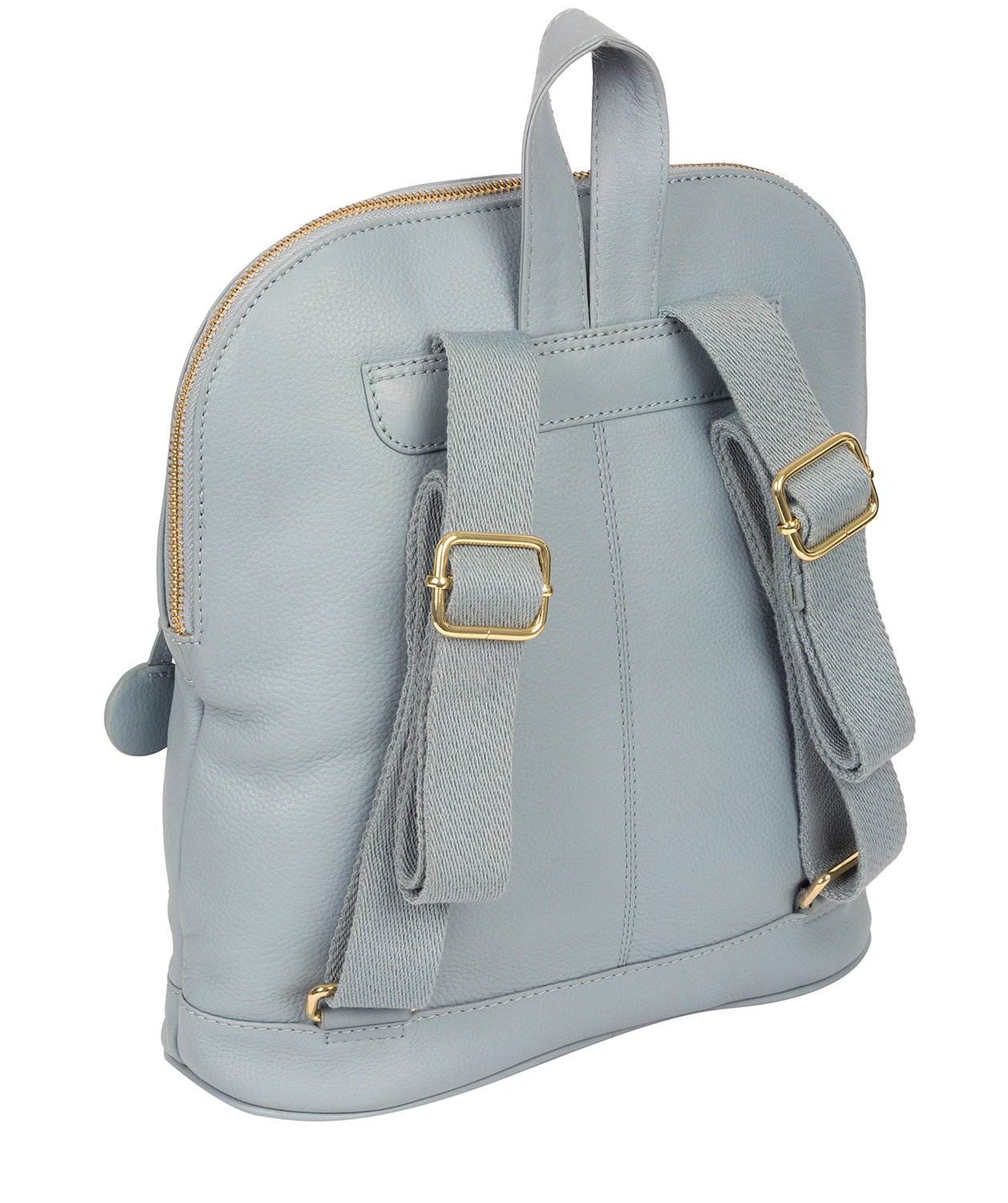 'Kinsely' Cashmere Blue Leather Backpack