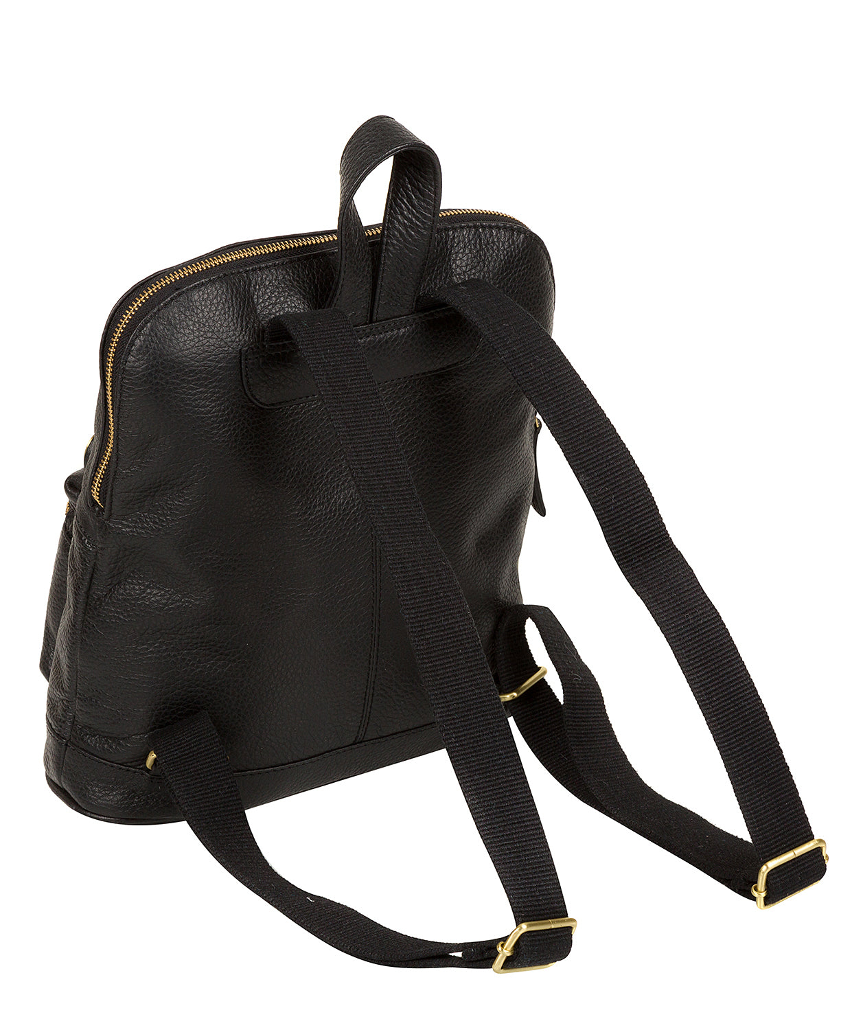 'Ingleby' Black & Gold-Coloured Detail Backpack